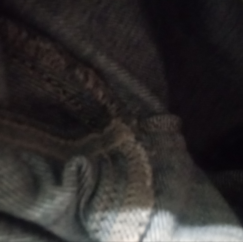 Cello jeans - Picture 5 of 7